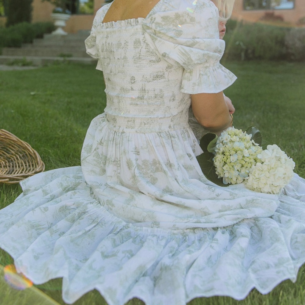 Ivy City Co Valencia Dress in Sage 1X